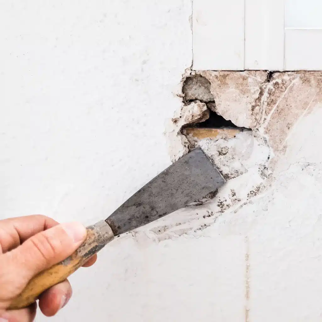 shutterstock_2431345707